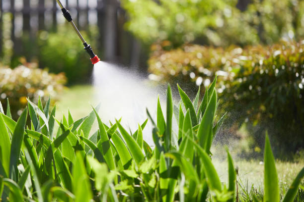 Tamper-Resistant Bait Stations for Rodents in Caledonia