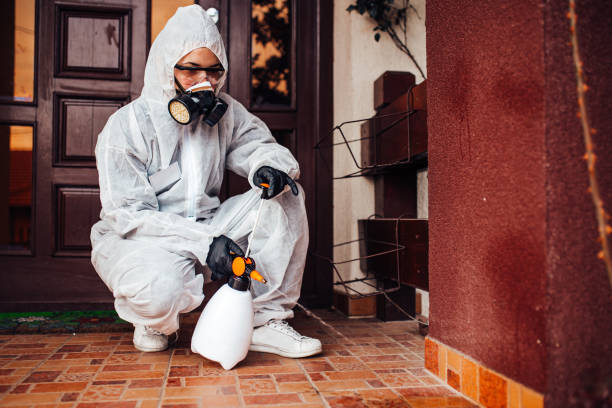 Attic and Crawl Space Rodent Treatment in Caledonia