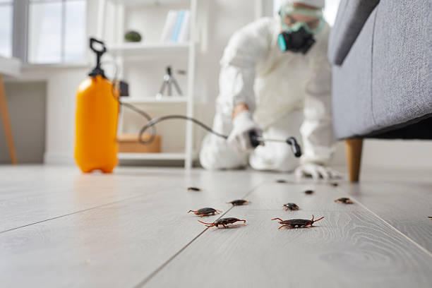 Commercial Rodent Management in Caledonia
